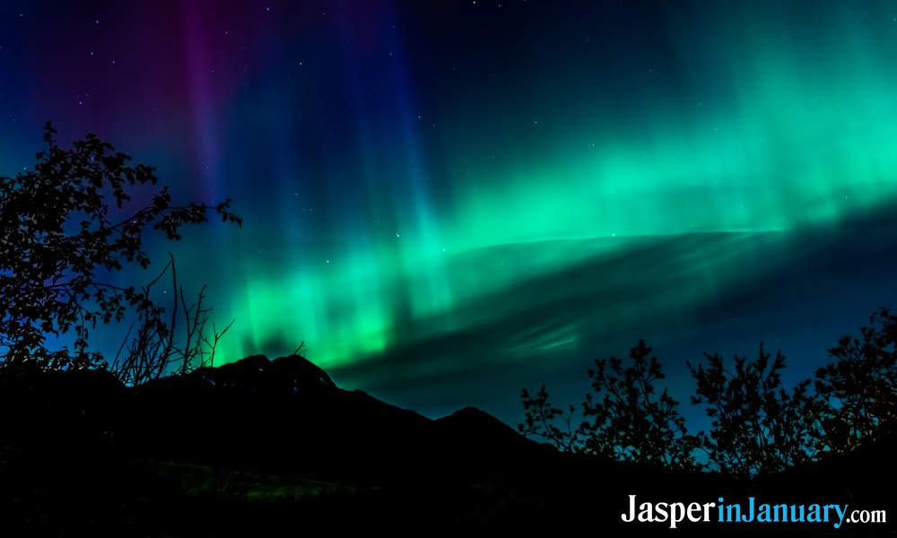 Stargazing in Jasper During January